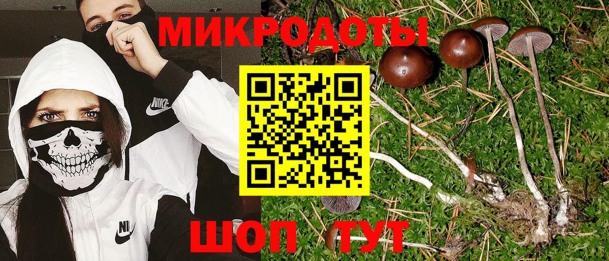 Калач-на-Дону  Псилоцибиновые грибы ЛСД  Вход с VPN  цена наркотик  Псилоцибиновые грибы мицелий 