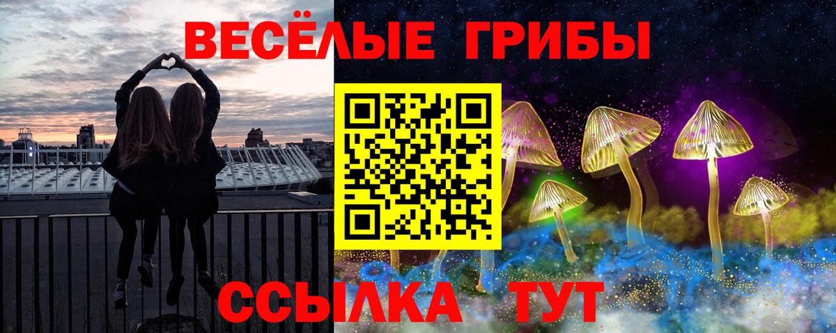 Псилоцибиновые грибы GOLDEN TEACHER Калач-на-Дону